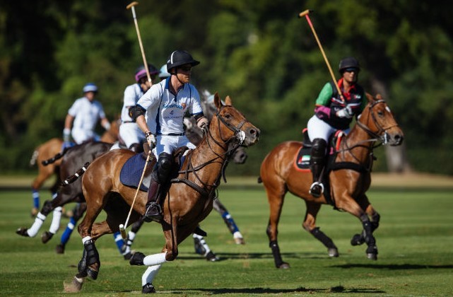 Prince Harry at a Polo game match